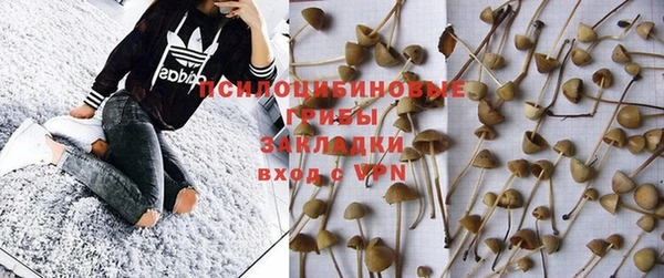 хмурый Балабаново