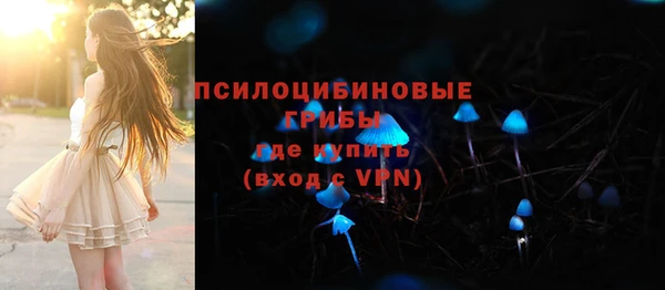 хмурый Балабаново