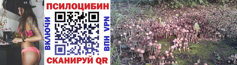 Галлюциногенные грибы MAGIC MUSHROOMS  как найти наркотики  Сланцы 